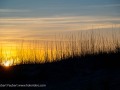 20230423-Cape-Hatteras-270