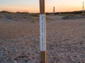 20230423-Cape-Hatteras-272