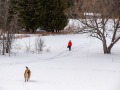 20220313-Z6-wander-ski-83