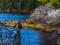 20210501-D750-flyfishing-286