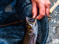 20210501-D750-flyfishing-460