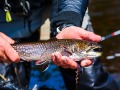 20210501-D750-flyfishing-529