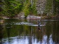 20210501-D750-flyfishing-615