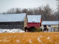 20220107-Z6-pakenham-rural-144