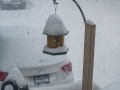 20220117-Z6-Snowstorm-21