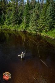 20230805-Z6-Adirondacks-257