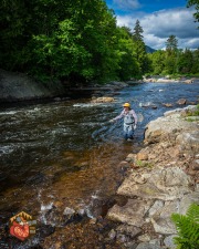 20240612-Z6-ausable-fyfish-270