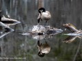 2022-04-23-Z6-family-wildlife-428