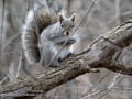 2022-04-23-Z6-family-wildlife-435