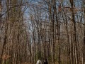 20221030-Z6-gatineaupark-16