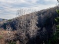 20221030-Z6-gatineaupark-162