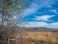 20221030-Z6-gatineaupark-175