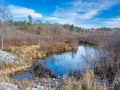 20221030-Z6-gatineaupark-178