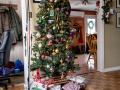 20210825-Z6-christmas-15