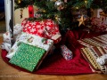 20210825-Z6-christmas-85