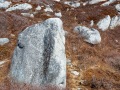 20230331-Z6-peggyscove-144