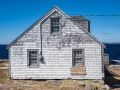 20230331-Z6-peggyscove-19