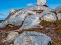 20230331-Z6-peggyscove-197-Edit