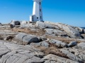 20230331-Z6-peggyscove-39