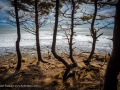 20230402-Z6-beach-hike-182