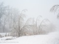 20230406-Z6-freezingrain-109