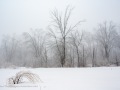 20230406-Z6-freezingrain-117