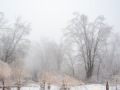 20230406-Z6-freezingrain-124