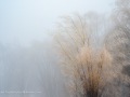 20230406-Z6-freezingrain-136