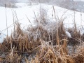 20230406-Z6-freezingrain-142