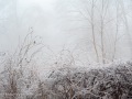 20230406-Z6-freezingrain-151