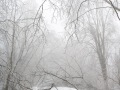 20230406-Z6-freezingrain-165