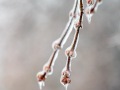 20230406-Z6-freezingrain-172