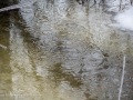 20230406-Z6-freezingrain-177