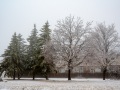 20230406-Z6-freezingrain-81