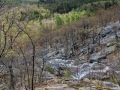 20230506-Z6-Luskfalls-hike-70