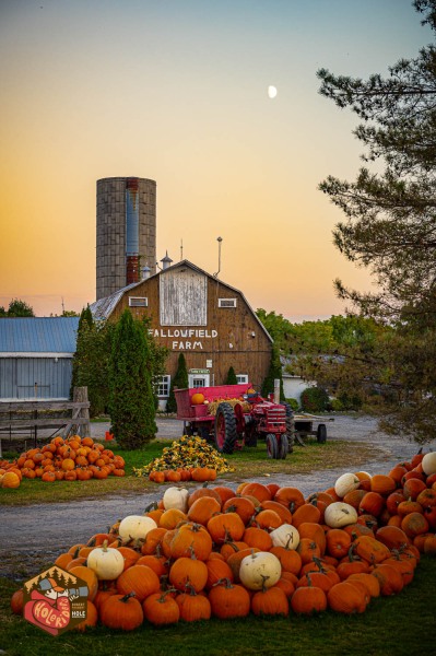 20230924-Z6-merrickville-sunset-107