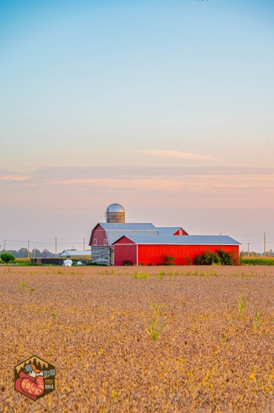 20230924-Z6-merrickville-sunset-40