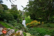 20231010-Z6-Ireland-Blarney-RossIsland-518