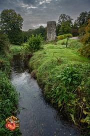 20231010-Z6-Ireland-Blarney-RossIsland-91