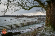 20231202-Z6-Hadrianswall-128