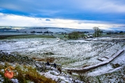 20231202-Z6-Hadrianswall-179