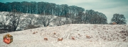 20231202-Z6-Hadrianswall-86-Edit