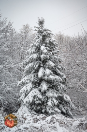 20231205-Z6-Ottawa-snow-41