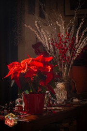 20231225-Z6-Faubert-Christmas-33