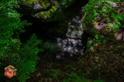 20240609-Z6-lusk-cave-hike-120