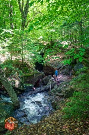 20240609-Z6-lusk-cave-hike-178