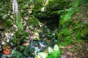 20240609-Z6-lusk-cave-hike-239