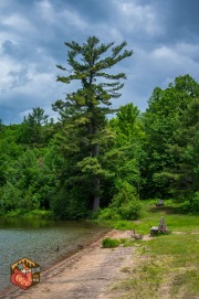 20240609-Z6-lusk-cave-hike-78