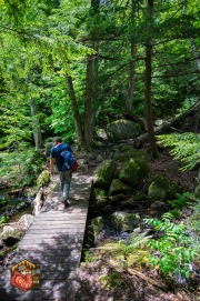 20240609-Z6-lusk-cave-hike-86