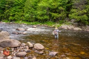 20240612-Z6-ausable-fyfish-12